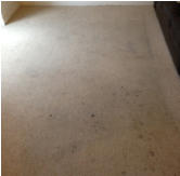 dirty carpet prior to cleaning