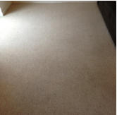 professionally cleaned carpet